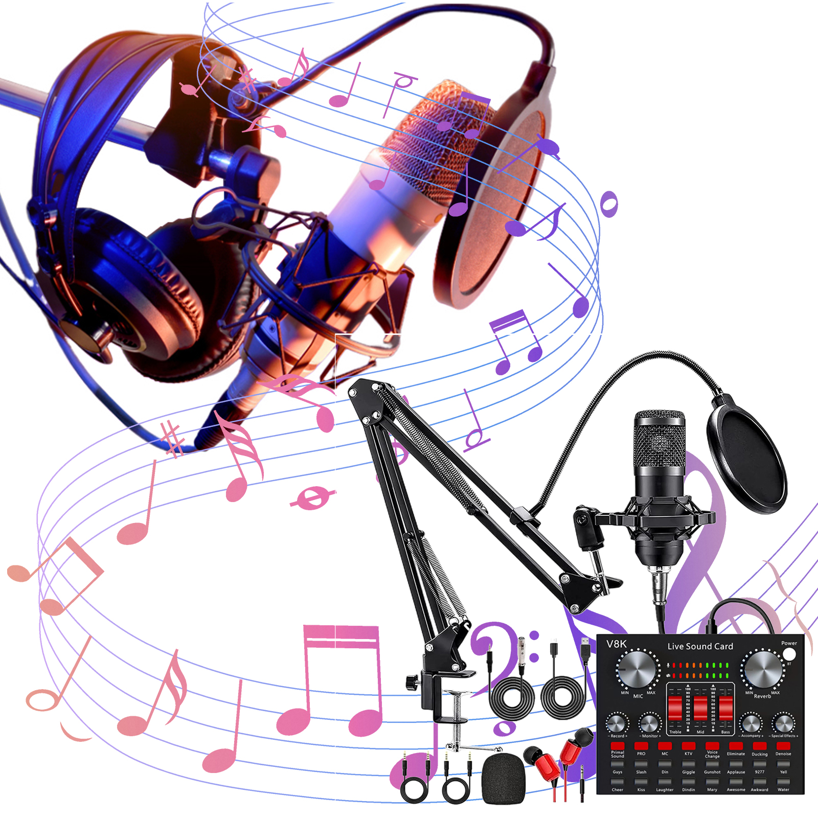 All-in-One Recording Equipment - Audio Music Voice Changer review and price