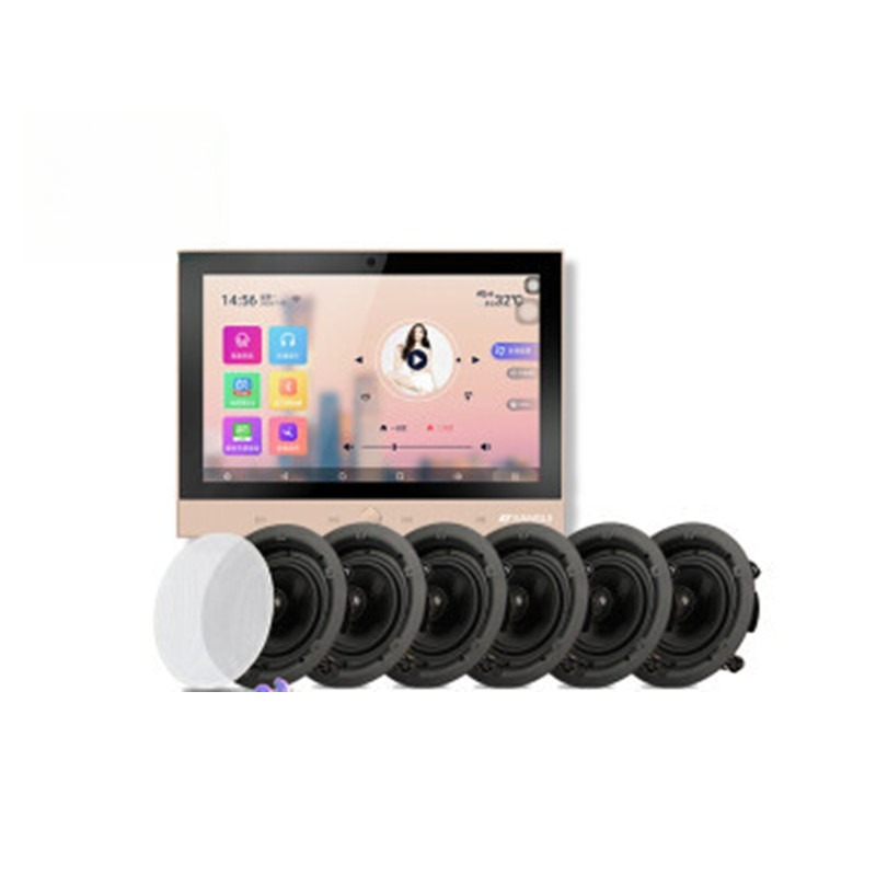 DM-8 + T5-6.5 Home Background  - Audio House Music review and price