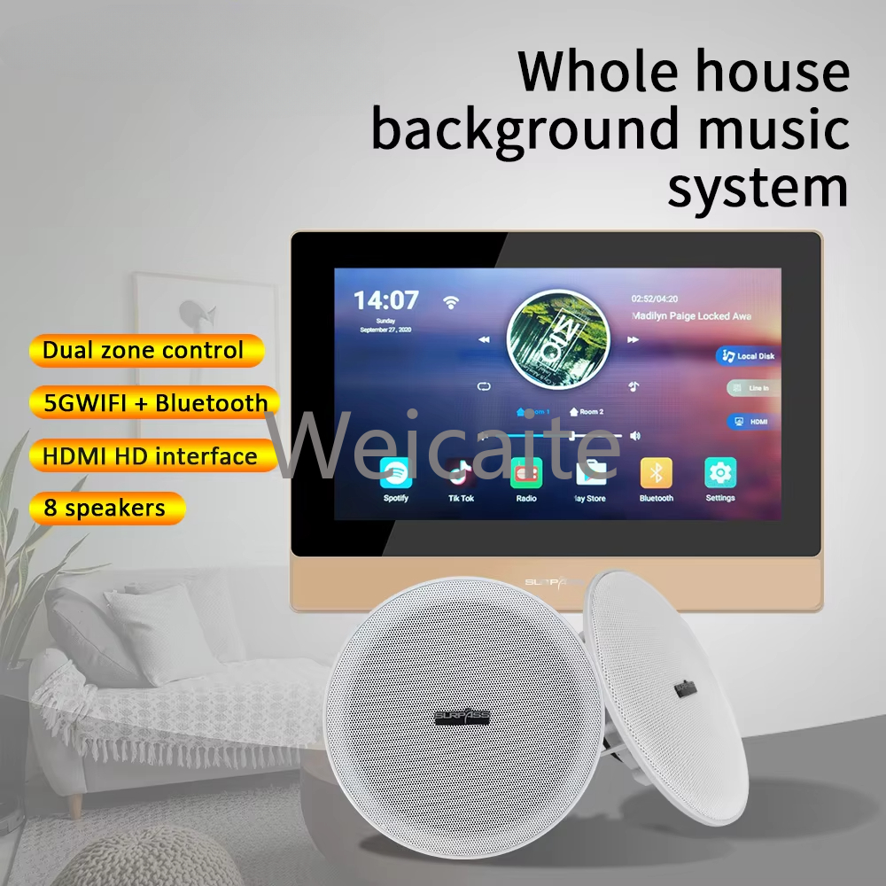 Whole House Audio Music System - Audio House Music review and price