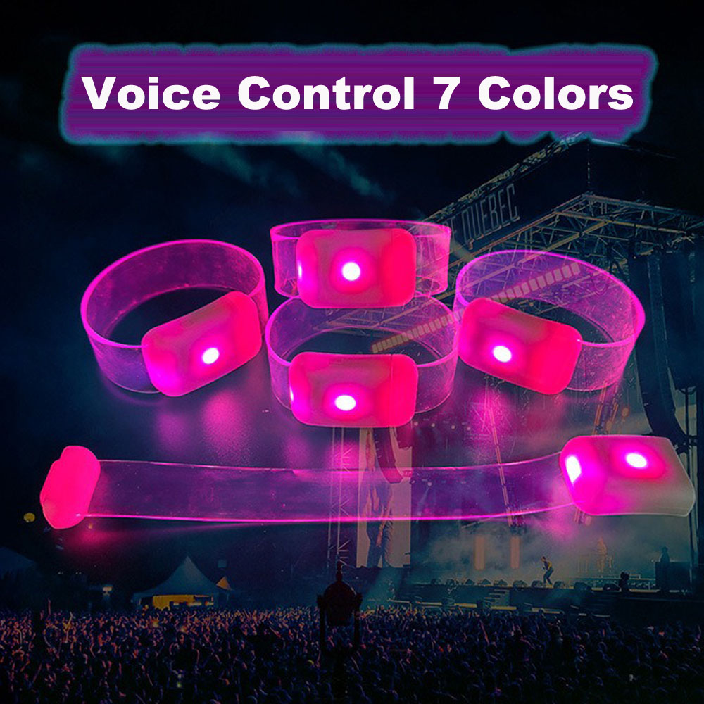 Music Sound Voice Activated LE - Audio House Music review and price