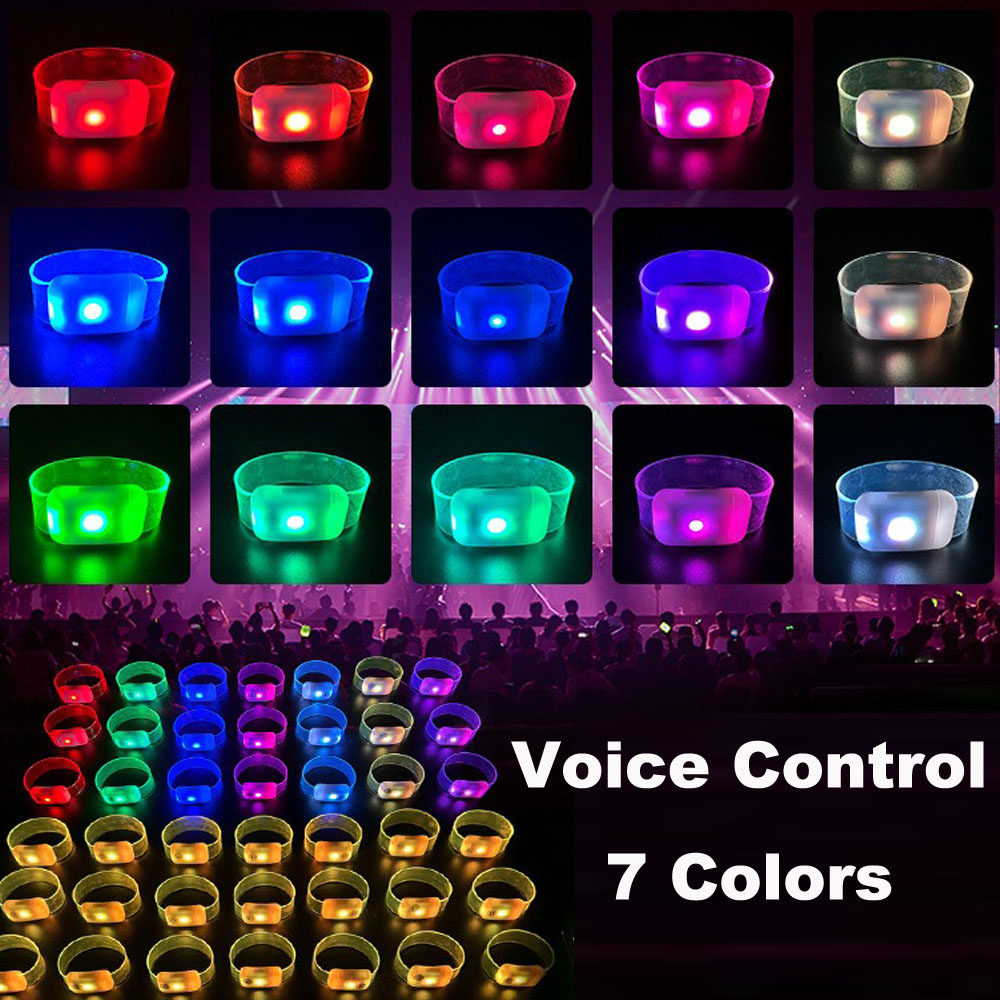 Music Sound Voice Activated LE - Audio House Music review and price